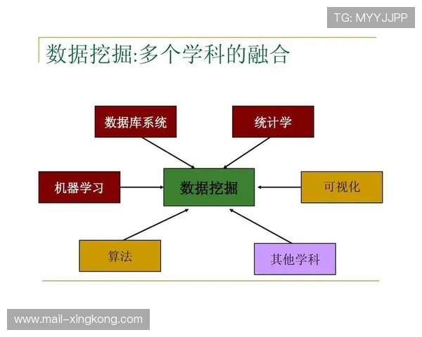 职业联赛收视率统计方法与数据解读